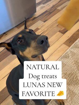 Mighty Yak dog treats, our Luna‘s favorites! She absolutely loves them They contain three all natural ingredients.  #doggreats #naturaldogtreats  #doberman #dobermanmom #dobermanpinscher #dogfood