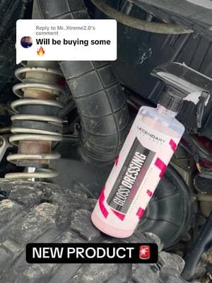 Replying to @Mr..Xtreme2.0 A 5 minute wipe down. Im so impressed. #legendarycarcare #competitor #worthit #rzrlife #trumpbuggy #teamwork #TikTokShop #tiktokshopfinds #tiktokmademebuyit #fyp 