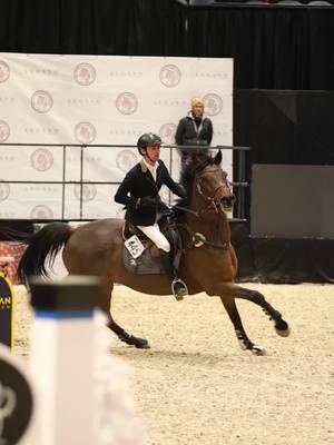 Tail flip #horse #horsesoftiktok #showjumper #hunterjumper #equestrian #horseboy 