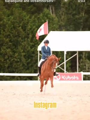 Horses will be horses 🤷🏼‍♀️🫠 We love this video from our client @christinadphotos (who got @amstel_thebigredhorse from us! ) Amstel was a feedlot rescue who we fondly nicknamed “the unbreakable”, however with hard work and (a lot) of perseverance, Christina has done a fabulous job over the years with this special boy to turn him into a champ! 🏆 . 🥰🎥 @tiaraequine  . . . . . . #equestrian #horses #funnyhorsevideos #horsefails #equestrianlife #instagramvsreality #rescuehorse