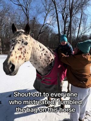 Our best guy ❤️❤️❤️❤️ #kidspony #kidshorse #rescuehorse #adoptedhorse #leopardappaloosa #newjerseyhorses #barrelracing #happyappy #for #you #page #rescuepets #capcut 