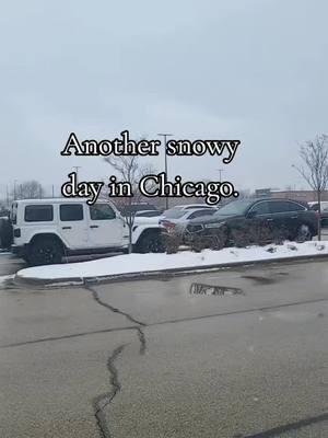 #snow #Chicago #navypier #cold #temperature #cloudy #2025 #Snowflake #tiktok #fyp #foryou #ParaTi #Trending #TikToks #viral #viralvideo 