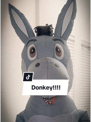 Little Jelly gets a pet donkey #farmerroll #jellyroll #farmlife #littlejelly #bunniexo @Jelly Roll @Bunnie Xo 🪄 