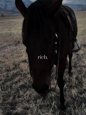 rich girl💰#CapCut #fyp #fypシ #foryoupage #rich #richgirl #abovethemark #cowgirl #cowboygirl #ranchlife 