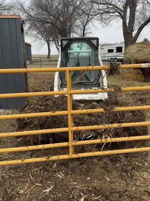 @Garrison w🌽 Are we big cattle guys yet #bobcat #bobcatequipment #caseinternational7240 #caseinternational #newidea #newideas 