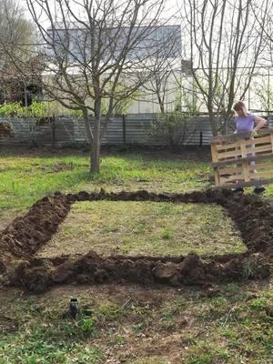 His is your sign to build a greenhouse in your backyard 😱 #greenhouse #handmade #craft  #backyard #gardening #gardner #plantsoftiktok 