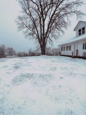 Definitely bittersweet that TikTok is really leaving. You can find us on IG @followingthefarrars ❤️❤️ #colderweather #homestead #farmhouse #followingthefarrars