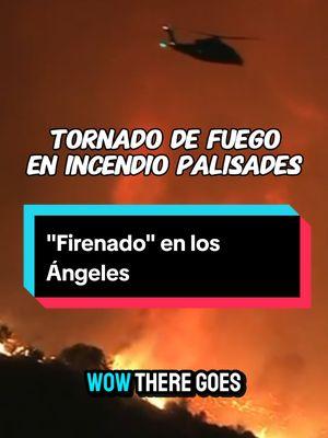 🌪🔥 "Tornado de Fuego en Los Angeles.  A veces llamados "firenados", los remolinos de fuego son columnas giratorias de aire caliente y gases que se elevan desde un incendio, según el Grupo Coordinador Nacional de Incendios Forestales (NWCG, por sus siglas en inglés). Cuando el aire y los gases se elevan, también arrastran humo, escombros e incluso fuego, como se observa en el vórtice de fuego del video. Los vórtices pueden tener un ancho desde menos de un pie hasta más de 500 pies, indicó el NWCG. Los remolinos de fuego más grandes pueden ser tan fuertes como un pequeño tornado. Uno de los remolinos de fuego más grandes en los últimos años ocurrió en 2018 durante el incendio Carr en Redding, California, según el Servicio Meteorológico Nacional. Tuvo velocidades de viento de aproximadamente 143 mph, equivalentes a las de un tornado EF-3. Los incendios en Los Ángeles están fuera de control y se repoeta un segundo el Eaton Fire: más de 30,000 personas evacuadas en áreas como Pacific Palisades, 1,100 hectáreas destruidas, y ráfagas de viento de hasta 80-100 mph dificultan el trabajo de los bomberos.  Se han declarado estados de emergencia mientras las autoridades piden a los residentes acatar las órdenes de evacuación. La comunidad está unida en medio de esta tragedia climática. 💔🔥 01/07/2025 Nuevo incendio en Los Angeles Imcendios actualización  #CaliforniaWildfires #EatonFire #LosAngeles #Emergencia #DesastreNatural #Solidaridad #PacificPalisades #Incendii #Parati #FuerzaCalifornia #WildfireSeason #Evacuaciones #Bomberos #California 