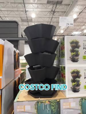 #garden #pot #herbs #flowers #costcofinds #flowers #flowerpot #grow #seeds #gardening #gardenproject #smallspace #gardentok #gardeninghacks #gardendiy #gardenproject #fyp #growth #costcodeals #costcodeals #costcomamma #costcoguide #costcohaul #fyp #viral #shop 