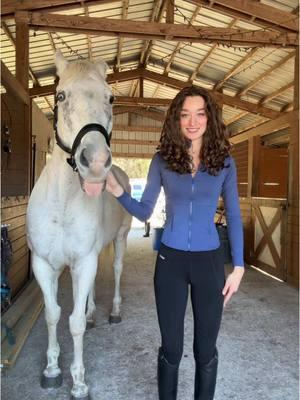 Harvey appreciation post 🩵 #outfit #OOTD #top #jacket #harvey #horse #equestrian 