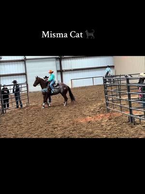 Lola and Misma Cat getting it done today! Lola rides a Morgan style @Tacktical saddle 🩵 @Ranch Dressn shirt @Prohats 🎩  #wildeyeranch #foryou #fyp #buildingchampions #winnerswork #eyeballbrand #tackticalequine #allaroundhorses 