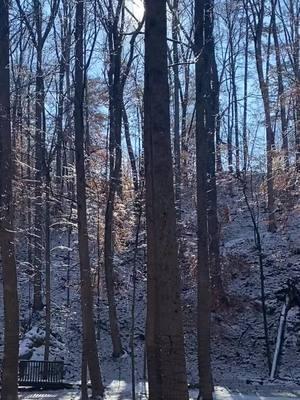 Enjoy the sound of ice and snow melting alongside a creek in the foothills of the Appalachian mountains. #meltingsnow #snow #walkingmydog #fyp 