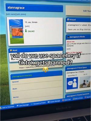 my user is alannagrace if anyone wants to friend me :)  #spaceheyprofile #spacehey #myspace #2000snostalgia 
