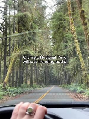 Have you stopped to listen lately?  #parksproject #washington #pnw #nationalparks #asmr 