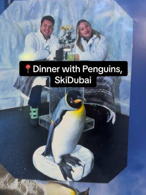 Az egyik legkülönlegesebb program ha erre jártok🫶🏼🐧 #dubai #skidubai #dinnerwithpenguins #fy #fyp #foryou #nekedbe #programötlet 