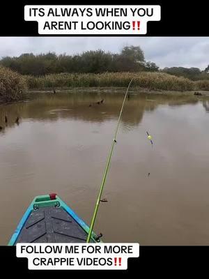 Always when your not looking! #903fishing #903areacode #crappie #crappiefishing #crappies #crappietok #crappietips #crappiejig #fishing #fishinglife #fishingtiktoks #fishingtips #fishinggear #tylertx #fypシ #fyp #fy #fishtok #crappiefishin #fishingtiktok #texasfishing ##acccrappiestix #kayakfishing 