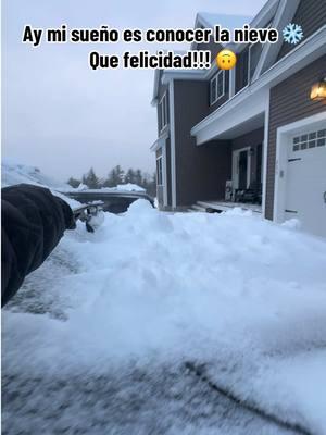 Que felicidad!!! 🙃🙄 #nieve #quefelicidad #misueño #🙃 #jaja #audioperfecto 