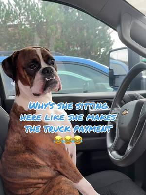 Guess I’m signing the truck over to her 😂😂😂 #boxer #dog #teef #fyp #foryoupage #foryourpage 