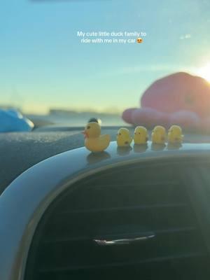 #cutefinds #trinkets #caraccessories #shein #ducks #loveducks #rubberducky #ducky #smallthings #smallitems #babies #tinytreasures 