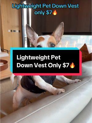 Lightweight Pet Down Vest🔥 #dogclothes #petclothes #dogjacket #dogsoftiktok #PetsOfTikTok #TikTokShop #tiktokmademebuyit #tiktokviral 