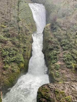 #bridalveilfalls #bridalveil #waterfall #oregon #pnw #pacificnorthwest #pnwinfocus #lostandfound #walk #hike #river #woods #trees #getoutside  