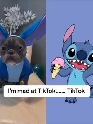 People be calling Flip “Stitch”and now can unsee it. #dogsofttiktok #dog #stitch #frenchbulldog #frenchie #flipsmom #disney 