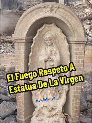 Ten Misericordia De Las Personas Afectadas🙏🏻 #virgendeguadalupe #trendingvideo #trending #viraltiktok #hoodstocks #losangeles #altadena #fire #wildlife #miracle #awareness #fyp #god #dios #california 