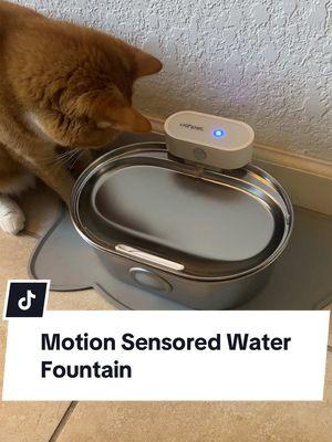 Motion sensored fresh water? Yes please! ⛲️ #motionsensorwaterfountain #waterfountain #waterfountainforpet #waterfountainforcats #petwaterfountain #TikTokShop #catwaterfountain 