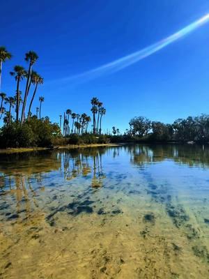 Sunday Fundays ✨ #florida #paddle #floridalife 