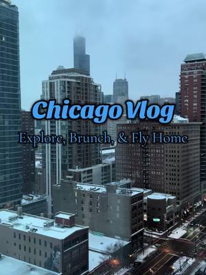 there’s no place like home 🥰 #chicago #brunch #westloop #lakemichigan #chicagoland #travelvlog #fyp #foryou 