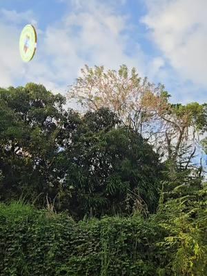 Mi vista, mi patio, mi tierra, mi orgullo, por esta tierra daría hasta mi sangre... YO SERIA BORICUA AUNQUE NACIERA EN LA LUNA!!! YO SOY BORICUA PA QUE TU LO SEPAS 🇵🇷 #orgullo #oyebeba #teamoyebeba #puertorico #badbunny #loquelepasoahawaiï #deaquinadiemesaca 