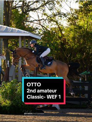 BIG OTTO- 2nd in the $2,500 amateur classic ! #euphoricequestrian #grandprixriding #huntleyequestrian #wef #wellington #horsetok #equestriansrelate #horseshowstyle 