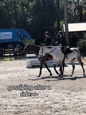 raise your hand if you think me and margo should lesson together on the jumper pons 🙋🏼‍♀️🙋🏼‍♀️ @margo  #rideforchrome #equestriansoftiktok #wellingtonfl 