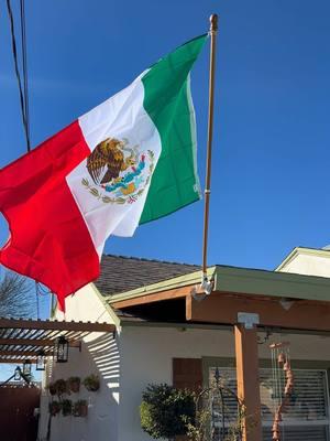 Nuestra Bandera Siempre en Alto🇲🇽♥️ . . . #vivamexico #mexico #mexican #mexican #raza #vivalaraza #brownpride #immigrant #firstgen #latino #latina #daca #bakersoftiktok #protest #unitedstates #california #launionhacelafuerza #union #mexicanos #Home #flag #mexicanflag #bandera #señora #oh__carolinaa #farmwork #farmworkers #fieldwork #imigrante #migrants #respect #humanrights #protest 