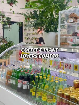 Plants and coffee all in one 🪴🌱#sdcoffeeshop 