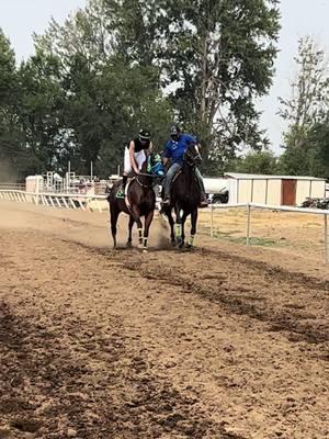 N 🎀 M 🖋️ L 🦎 T ☘️ y pura C. Los Amigos de Seattle, Wa 💙💚 Vamos con todo y por todo temporada 2025!  #carrerasdecaballo#caballos#🫶