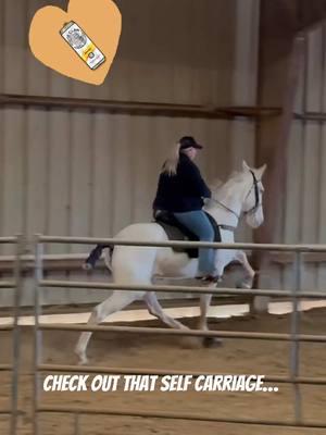 A little over two months with this big girl! She came to us after some time off in the pasture, first video was in November, excited to see where she goes for her 4yr old year in 2025! #tennesseewalkinghorses #horses #tennesseewalker #horseshow #horse #gaitedhorses #equestrian #equestriansoftiktok #twh 