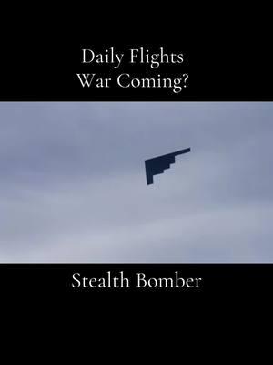 Stealth #stealth #airforce #airplane #wargames #bomber #stealthfight #stealthbomber 