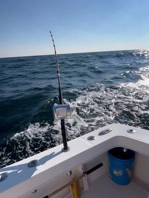 Jan 12,2025 zero bites but seen fish#tunafishing #tunafish #tuna #fish #fishing #fishtok #fishinglife #fisherman #fishingtiktoks #fishcontent #tunatok 