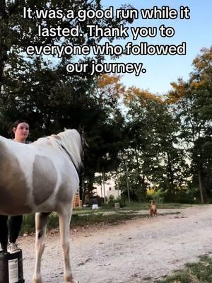 I do have ig and yt but I don’t post much on either of those. #horses#horsesoftiktok#horsetok#mares#maresoftiktok#maretok#hearthorse#fyp#foryoupage#goodbyetiktok 