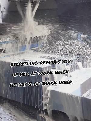 #CapCut #cnc #machinist #machinisttiktok #fyp #staytoxic #sharkweek #flood 