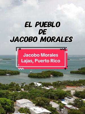 @Gina J 🎤 “Lo que le pasó a Hawaii” by Bad Bunny in this video, celebrating Jacobo Morales, an iconic Puerto Rican filmmaker, actor, and writer, known for his contributions to cinema. The video features stunning aerial views of his hometown, Lajas, Puerto Rico. 🎥✨ #JacoboMorales #LajasPuertoRico #PuertoRicanCinema #BadBunny #LoQueLePasoAHawaii #PuertoRicoViews #AerialPhotography #ExplorePuertoRico #PRVibes #LajasAdventures