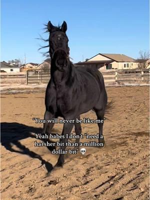 If you can’t stop your horse in a million dollar bit you are the issue, not the bit. #CapCut #horsee #fypシシ #reininghorse #horse #barrelhorse #western #stallion #barrelracing #milliondollarbit #marthajosey #bit #horsebit #mustang #yellowstonetv 