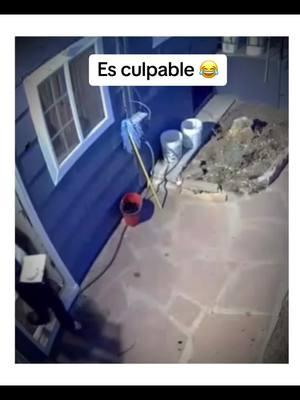 Te culpan de todo 😭 #paratii #riete #humor #fypシ #funnyyycomedymemess #Relationship #latino #mama #hijos 