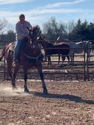 Got to take my boy for a spin on the pattern for the first time. It sure felt like home . #famelovencash #barrelhorsesoftiktok #imdoingit #ilookgood 