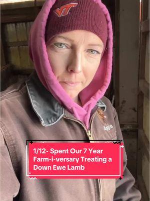 1/12- Our Seven Year Farm-i-versary spent treating a downed ewe lamb! #lifeofanagteacher #mitrowskihousefarm #cattarauguscountyag #katahdin #katahdinsheep #smallfarm #parasites 