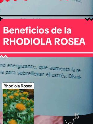 Beneficios de la Rhodiola Rosea #fyp #franksuarez #barbaraoneil #laregia #natural #adaptogenos #fyp #tiktosk #organic 