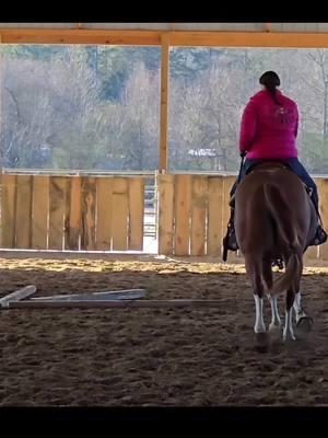 So glad to be back in the saddle today. Ground pole day!  #NextLevelPerformanceHorses #horsetraining #horsetrainer #themurphy #ranchhorse #ranch #ranchtrail #fyp #horseshowprep #equestriancait 