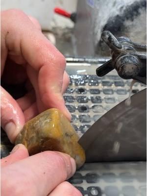 Yellow jasper found and cut open! #yellow #jasper #agatedad