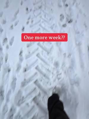 Is this really goodbye 🥺 #january #1week #supremecourt #savetiktok #why #unitedstates #bordercollie #snow #ranchlife #farmher #appalachia #cowtok #appalachianmountains #neverhit10k 